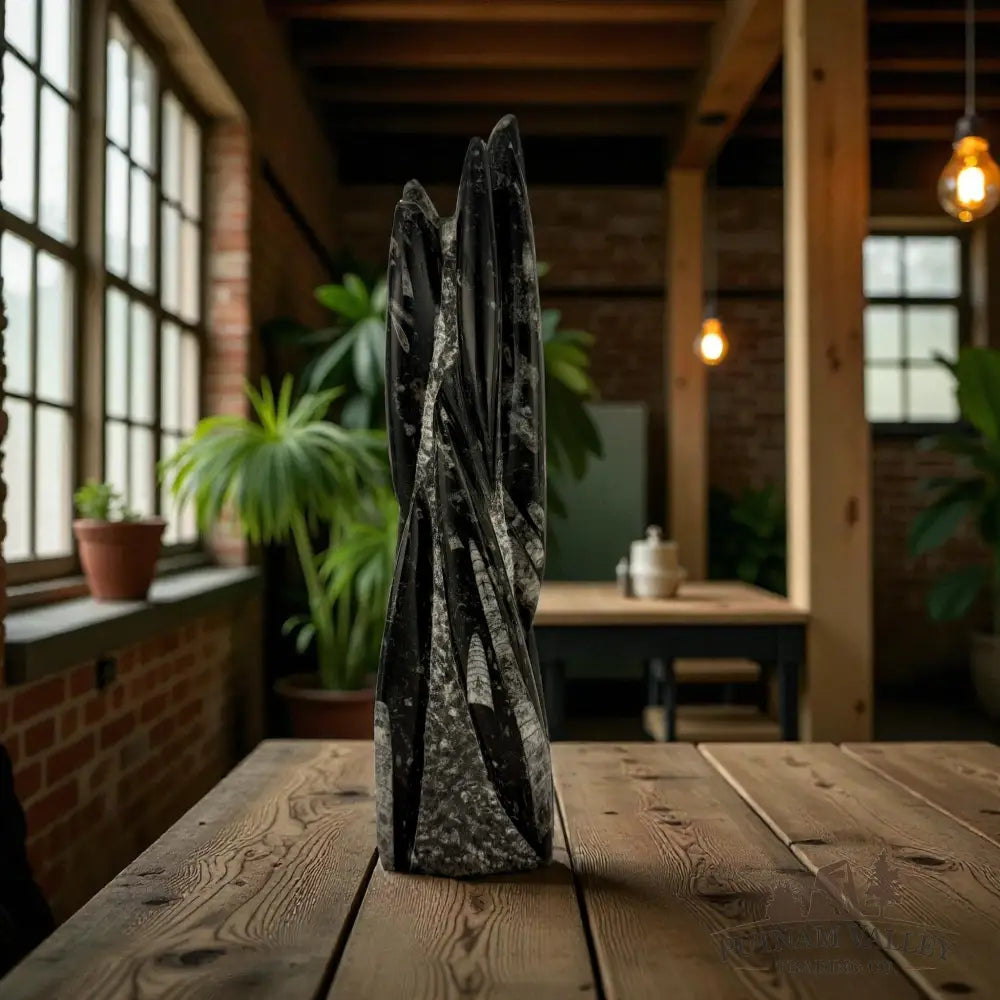Orthoceras Fossil Table Accent Fossil Sculpture
