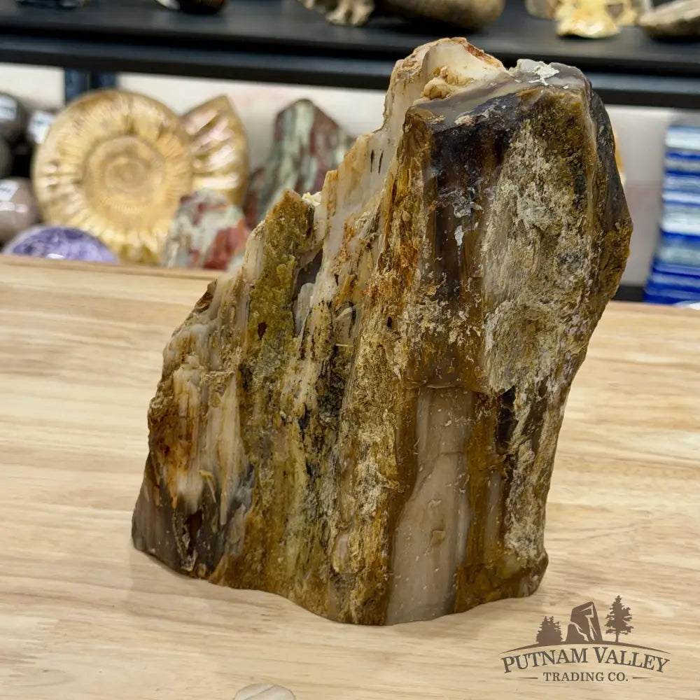 Petrified Wood Table Accent 7.85’’ - Free Standing Accent