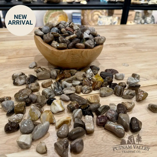 Pacific Northwest Petrified Wood Tumbles (½ lb) - Tumbled Stone