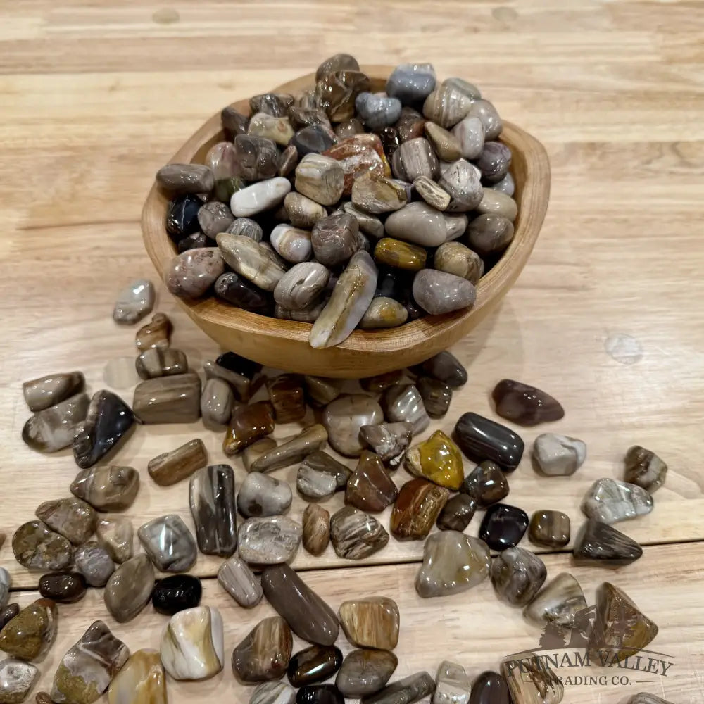Pacific Northwest Petrified Wood Tumbles (½ lb) - Tumbled Stone