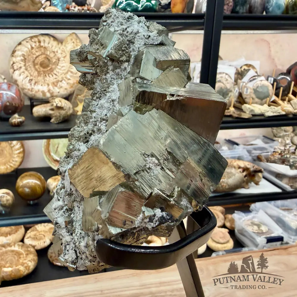 Peruvian Pyrite Cube Cluster in Matrix + Display Stand 13.5’’ - Sculpture