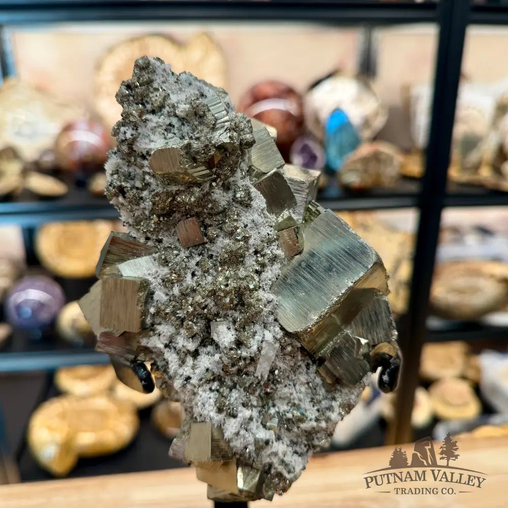 Peruvian Pyrite Cube Cluster in Matrix + Display Stand 13.5’’ - Sculpture