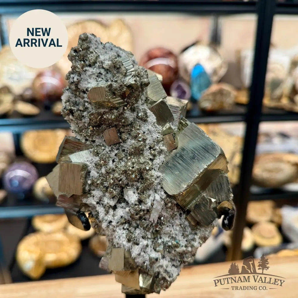 Peruvian Pyrite Cube Cluster in Matrix + Display Stand 13.5’’ - Sculpture