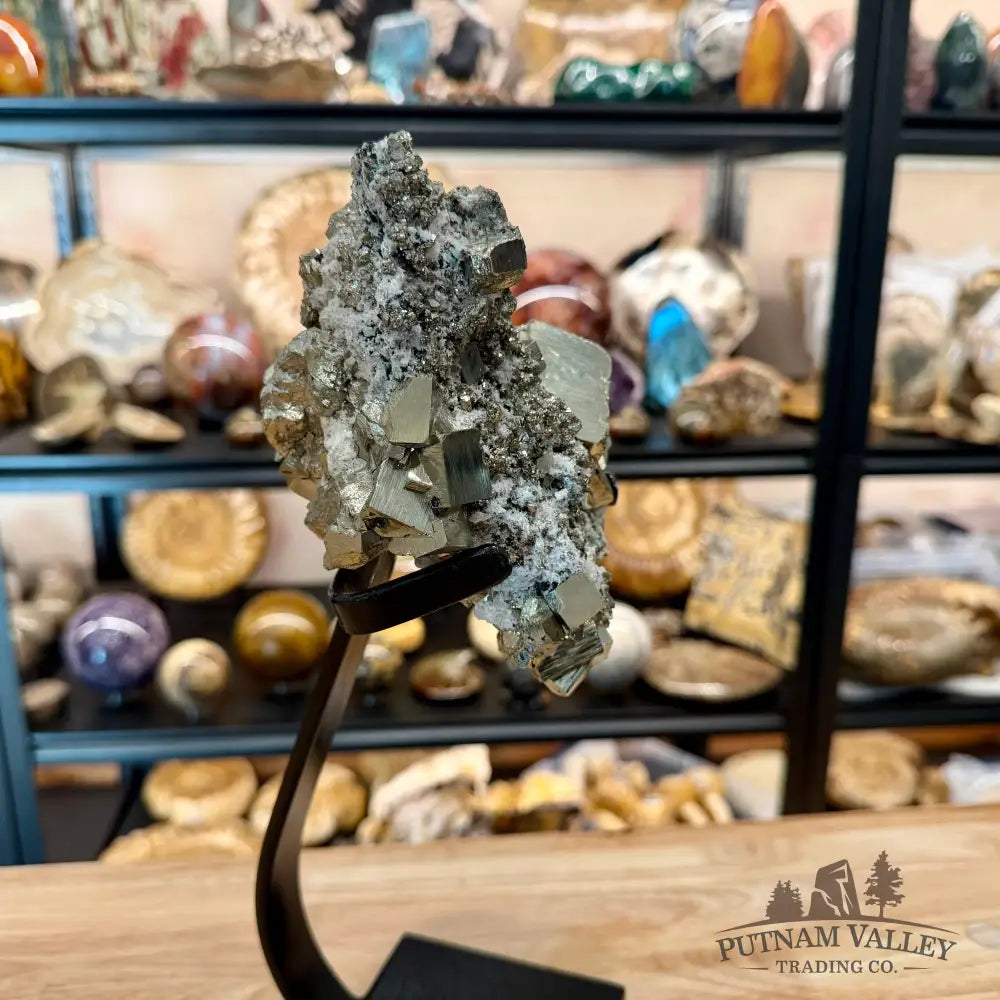 Peruvian Pyrite Cube Cluster in Matrix + Display Stand 13.5’’ - Sculpture