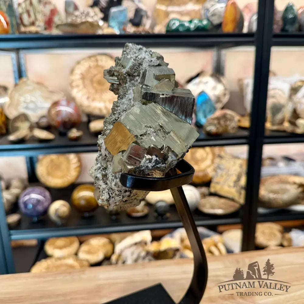 Peruvian Pyrite Cube Cluster in Matrix + Display Stand 13.5’’ - Sculpture