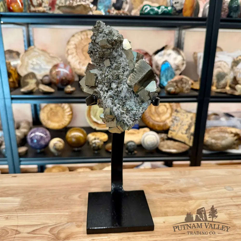 Peruvian Pyrite Cube Cluster in Matrix + Display Stand 13.5’’ - Sculpture