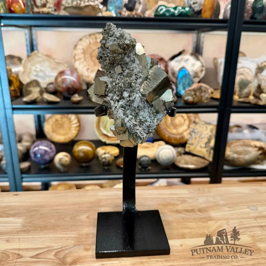 Peruvian Pyrite Cube Cluster in Matrix + Display Stand 13.5’’ - Sculpture