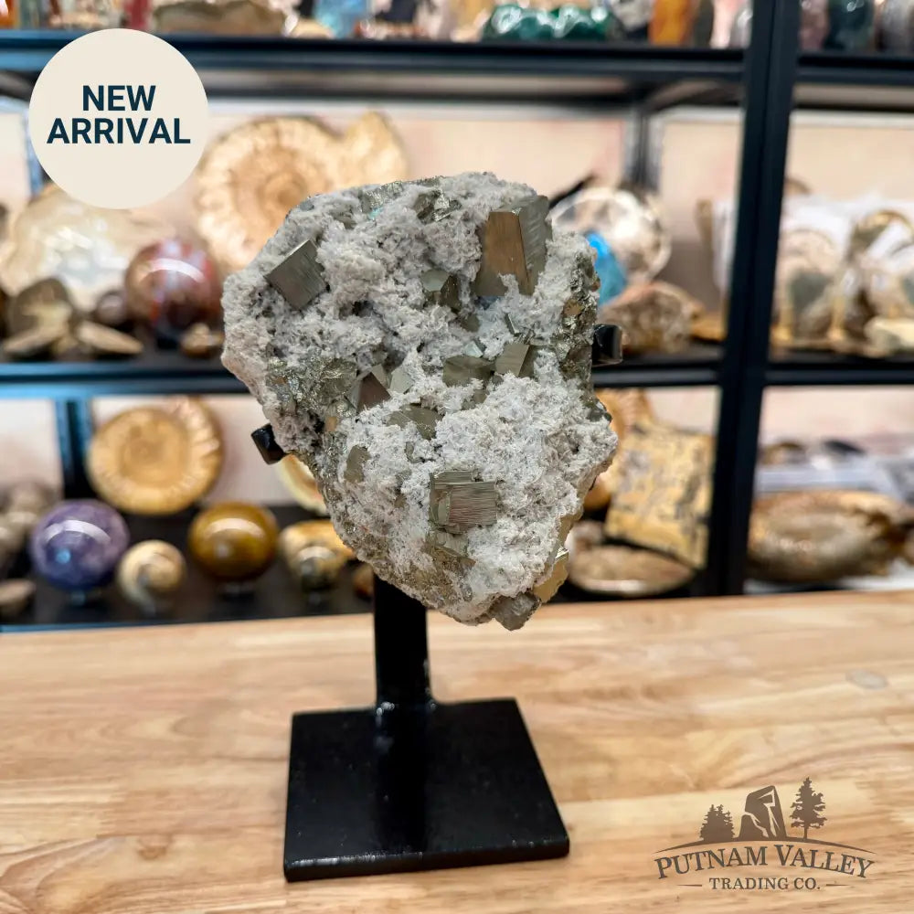 Peruvian Pyrite Cube Cluster in Matrix + Display Stand 9.25’’ - Sculpture