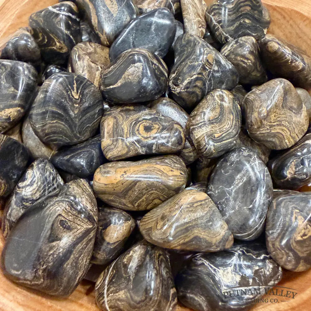 Peruvian Stromatolite Tumbles (½ lb) - Tumbled Stone