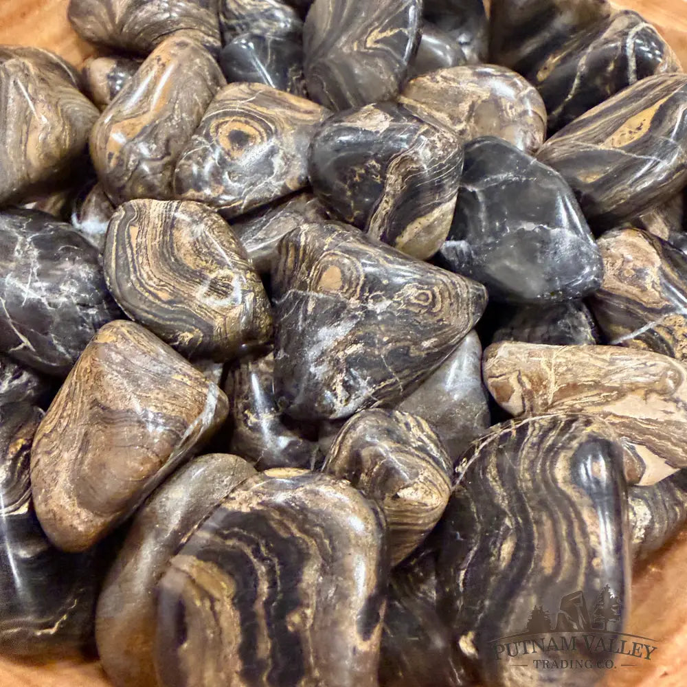 Peruvian Stromatolite Tumbles (½ lb) - Tumbled Stone