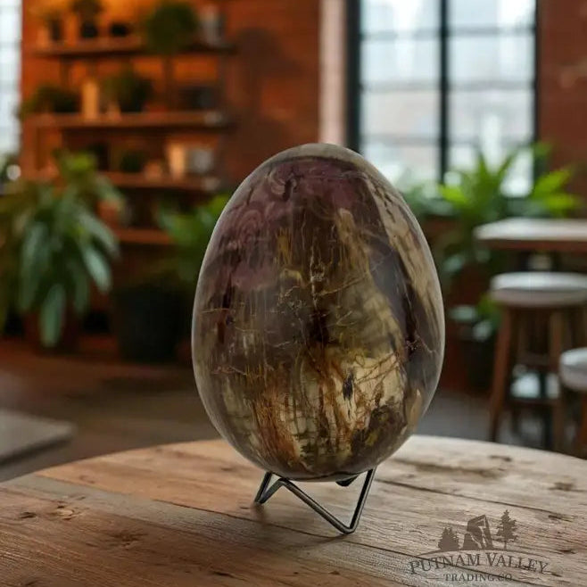 Petrified Wood Egg Egg