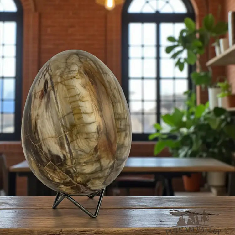 Petrified Wood Egg Egg