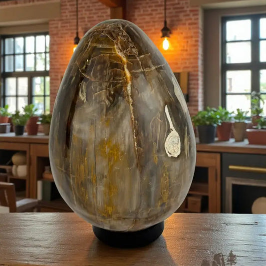 Petrified Wood Egg Egg
