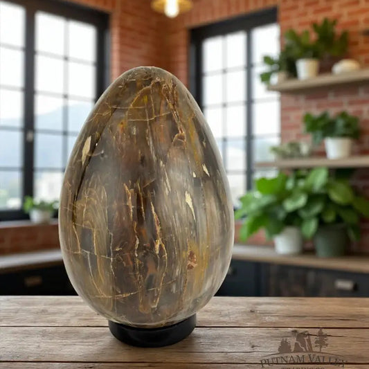 Petrified Wood Egg Egg