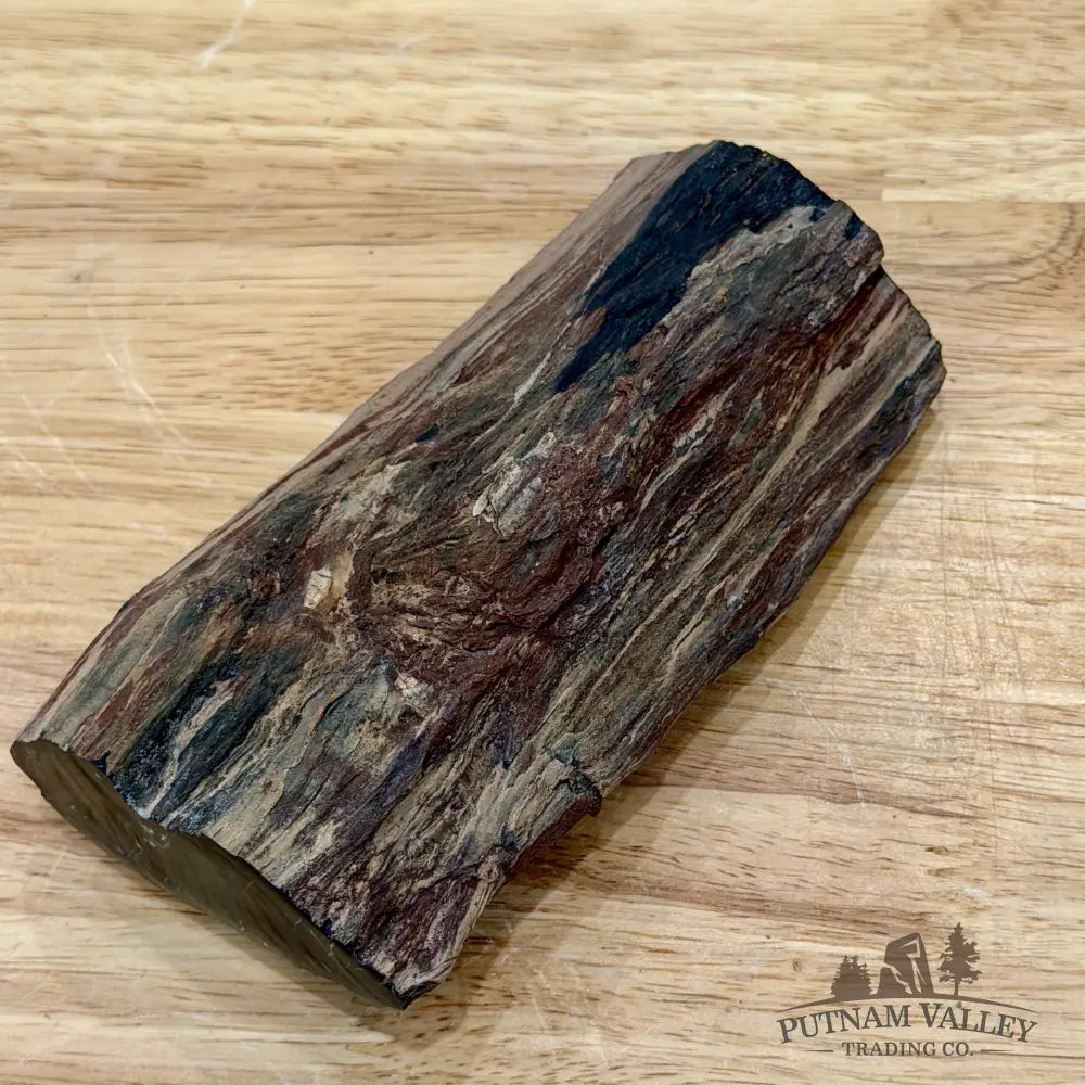 Petrified Wood Limb Accent 5’’ - Accent