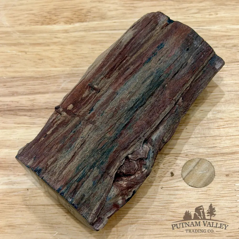Petrified Wood Limb Accent 5’’ - Accent