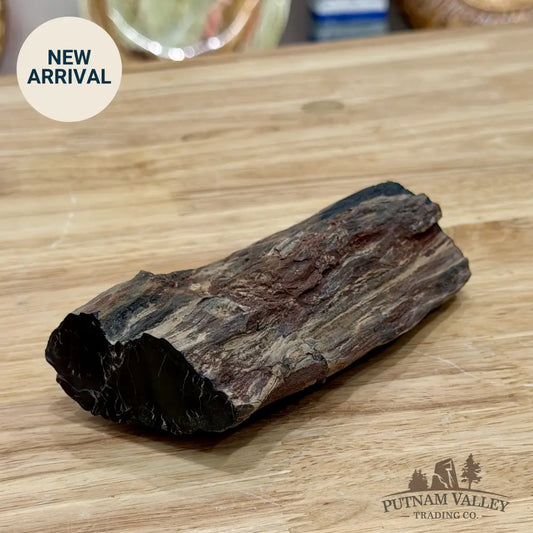 Petrified Wood Limb Accent 5’’ - Accent