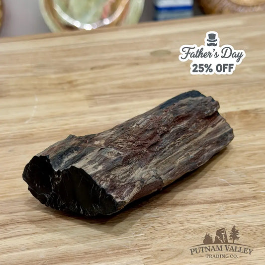 Petrified Wood Limb Accent 5’’ - Accent