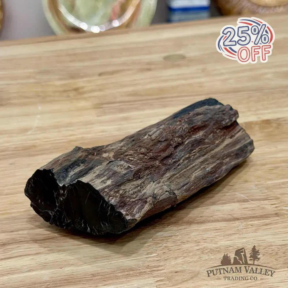 Petrified Wood Limb Accent 5’’ - Accent