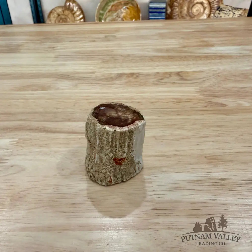 Petrified Wood Mini Stump Accent 1.7’’ - Accent