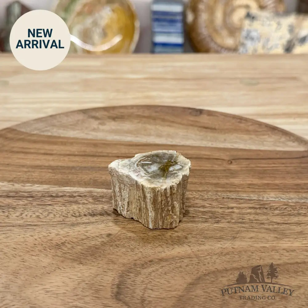 Petrified Wood Mini Stump Accent 1.76’’ - Free Standing Accent