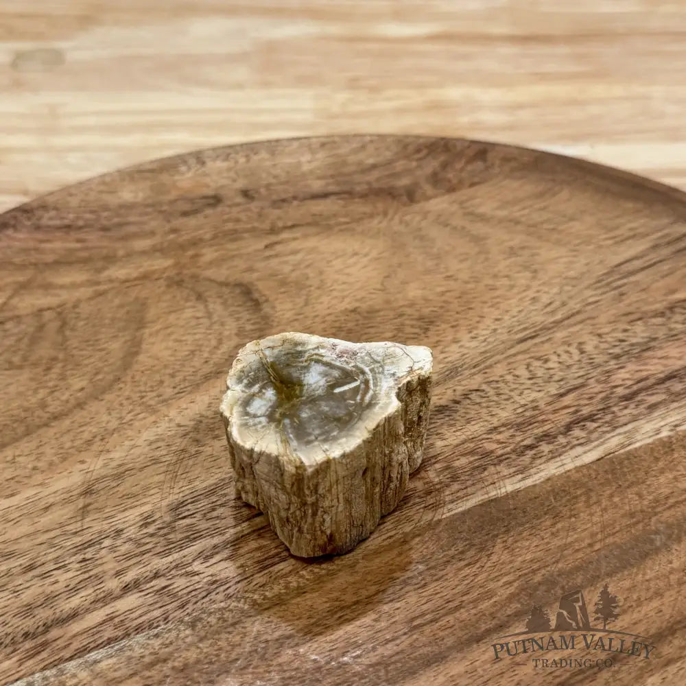 Petrified Wood Mini Stump Accent 1.76’’ - Free Standing Accent
