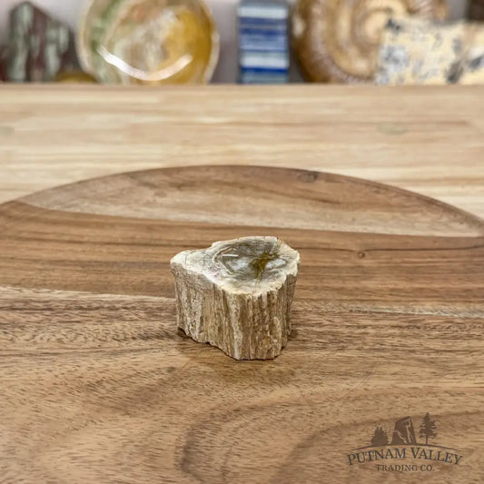 Petrified Wood Mini Stump Accent 1.76’’ - Free Standing Accent