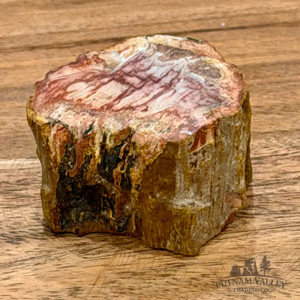 Petrified Wood Mini Stump Accent 1.84’’ - Free Standing Accent