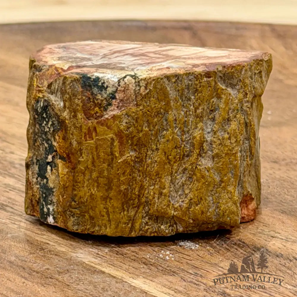 Petrified Wood Mini Stump Accent 1.84’’ - Free Standing Accent