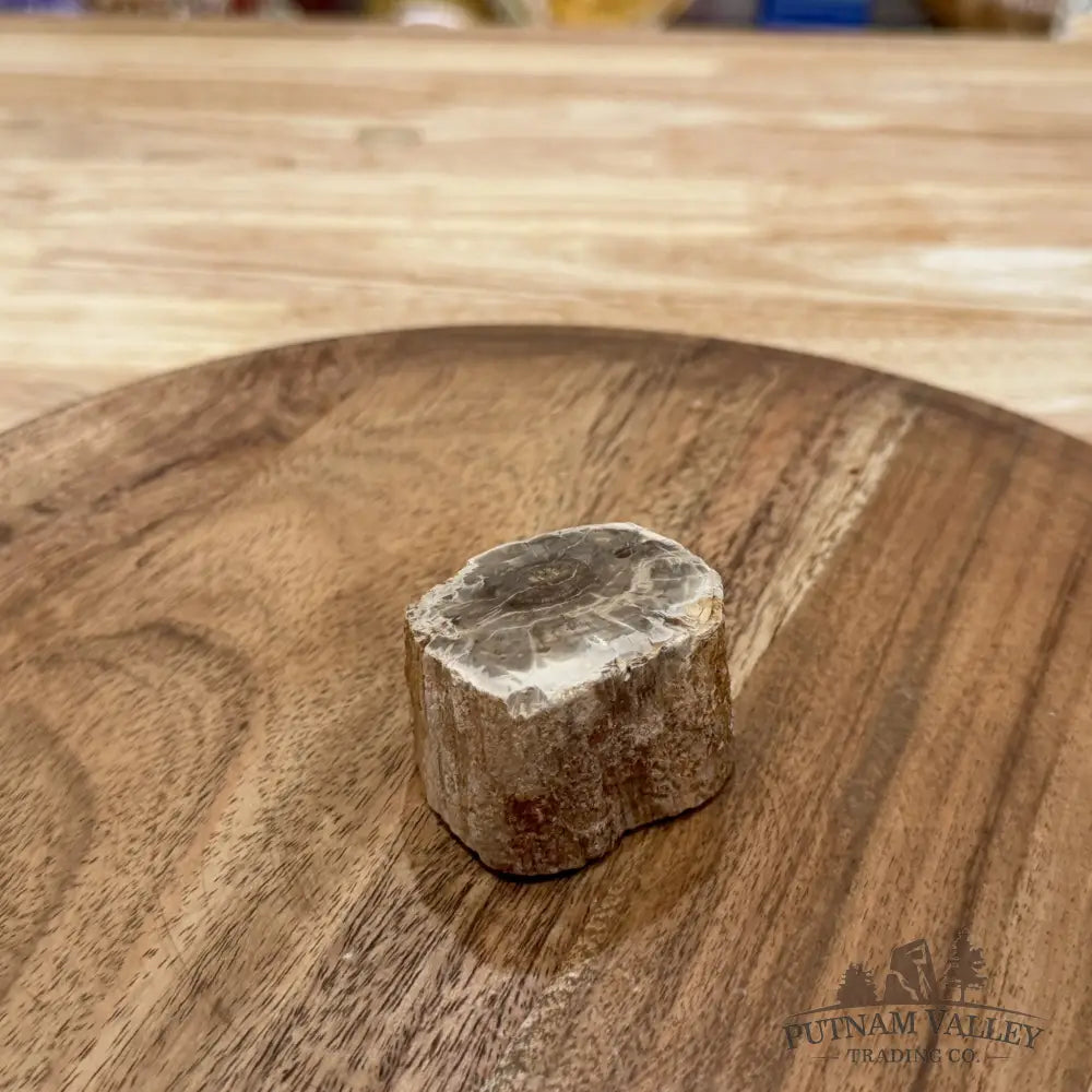 Petrified Wood Mini Stump Accent 1.85’’ - Free Standing Accent
