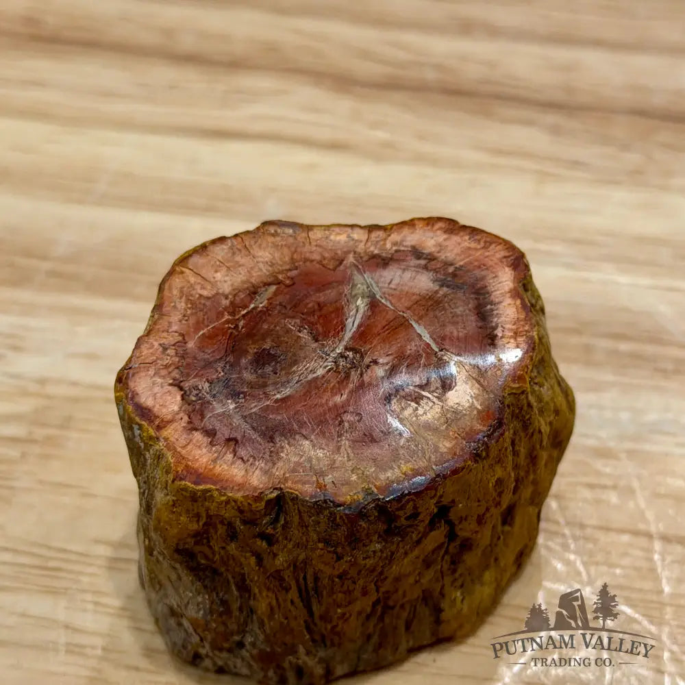 Petrified Wood Mini Stump Accent 1.91’’ - Accent