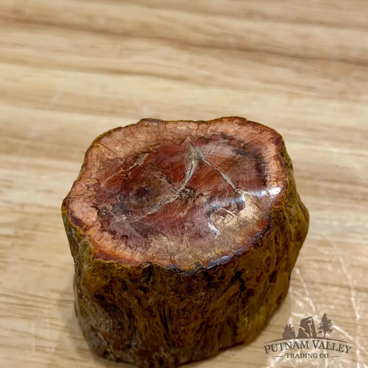 Petrified Wood Mini Stump Accent 1.91’’ - Accent