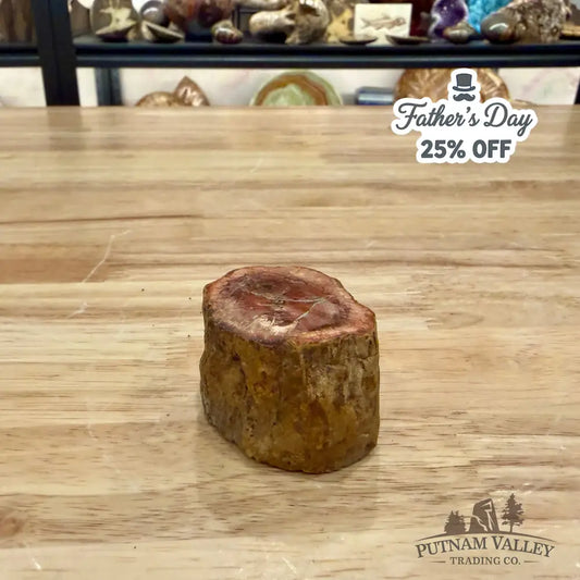 Petrified Wood Mini Stump Accent 1.91’’ - Accent