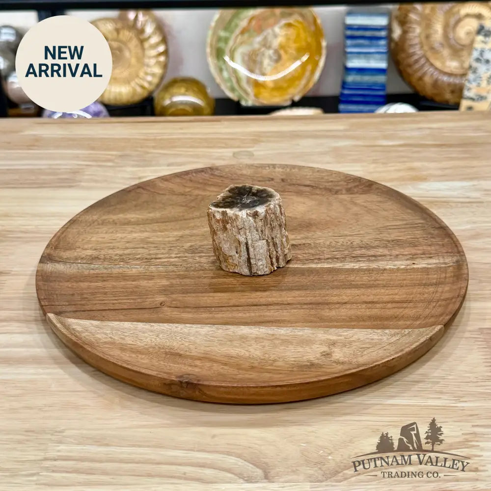 Petrified Wood Mini Stump Accent 2.05’’ - Free Standing Accent