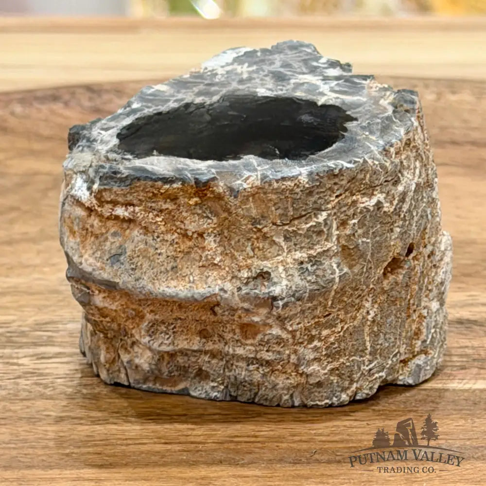 Petrified Wood Mini Stump Accent 2.3’’ - Free Standing Accent