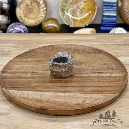 Petrified Wood Mini Stump Accent 2.3’’ - Free Standing Accent