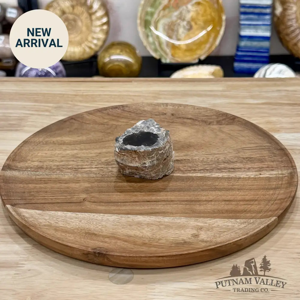 Petrified Wood Mini Stump Accent 2.3’’ - Free Standing Accent