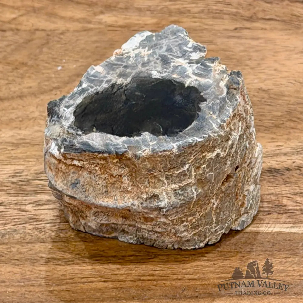 Petrified Wood Mini Stump Accent 2.3’’ - Free Standing Accent
