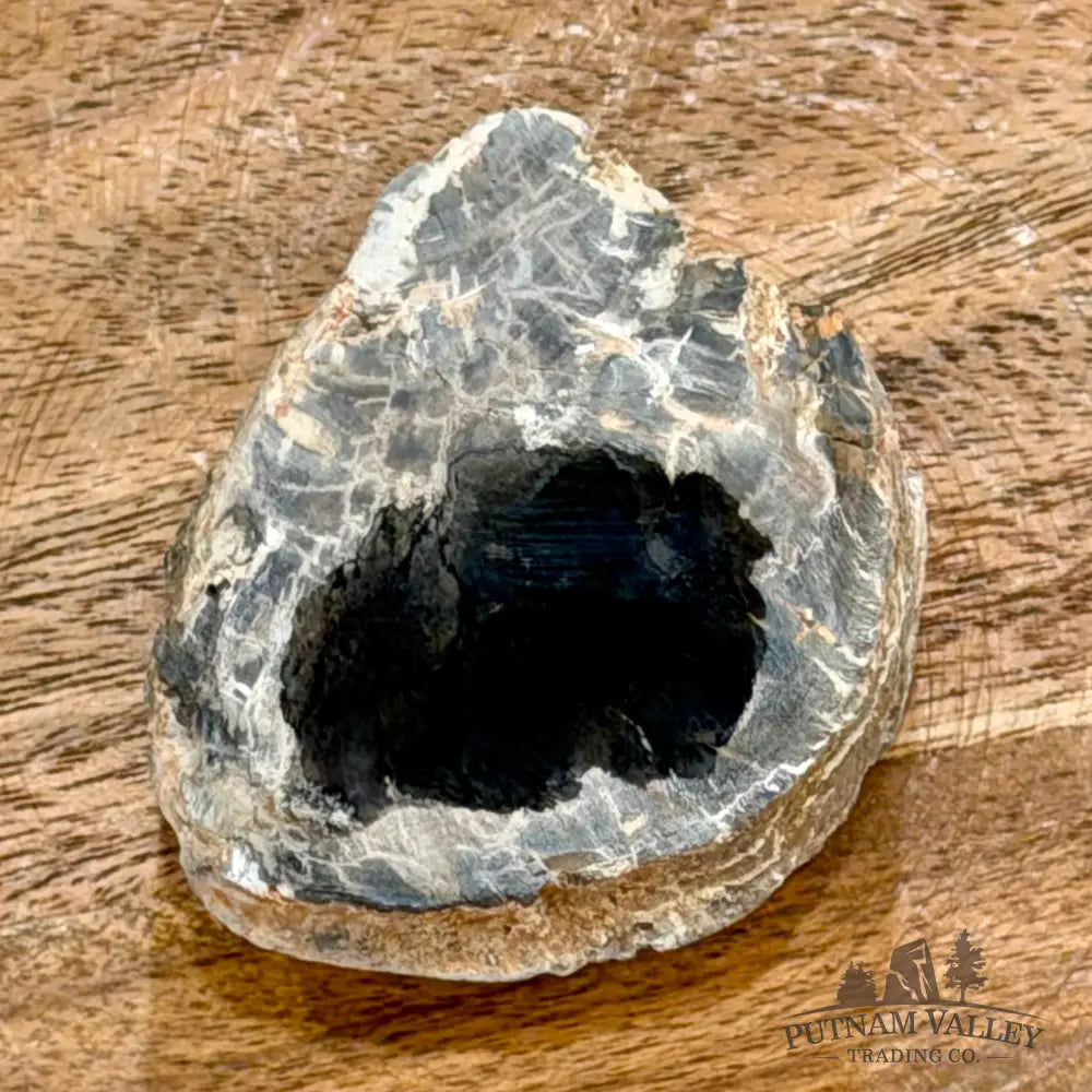 Petrified Wood Mini Stump Accent 2.3’’ - Free Standing Accent
