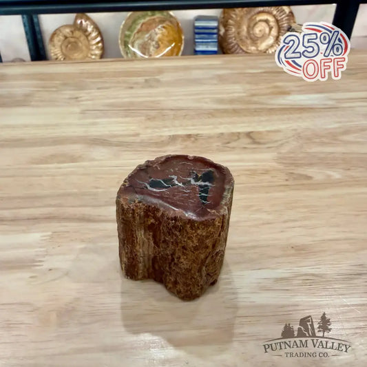 Petrified Wood Mini Stump Accent 2.4’’ - Accent