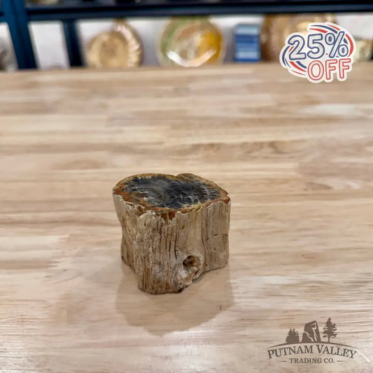 Petrified Wood Mini Stump Accent 2.4’’ - Accent