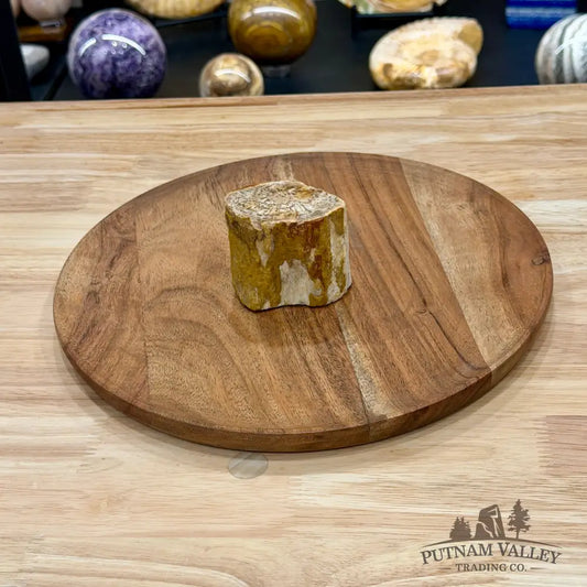 Petrified Wood Mini Stump Accent 2.5’’ - Free Standing Accent