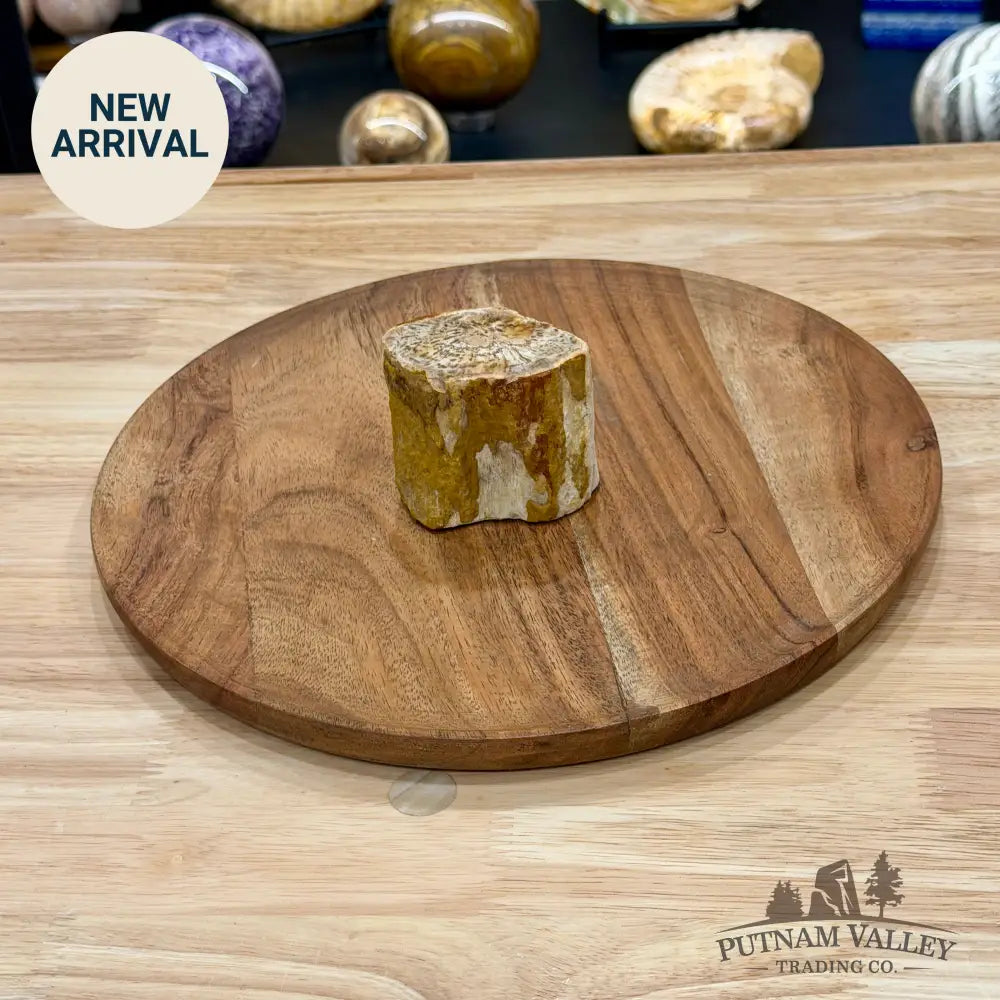 Petrified Wood Mini Stump Accent 2.5’’ - Free Standing Accent