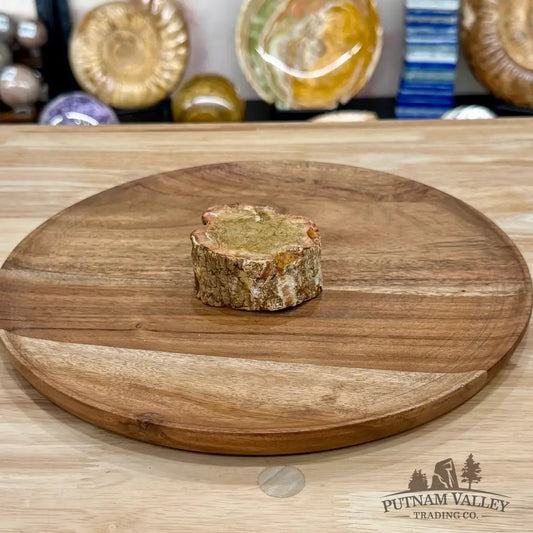 Petrified Wood Mini Stump Accent 2.6’’ - Free Standing Accent