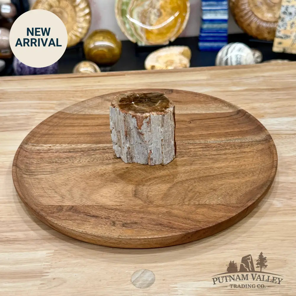 Petrified Wood Mini Stump Accent 2.65’’ - Free Standing Accent