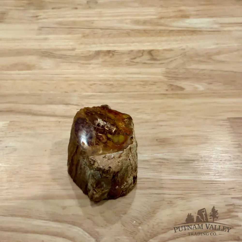 Petrified Wood Mini Stump Accent 2.7’’ - Accent