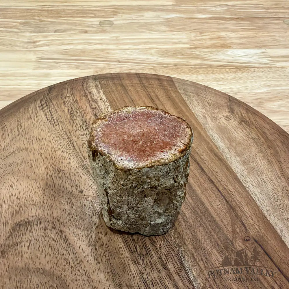 Petrified Wood Mini Stump Accent 2.7’’ - Free Standing Accent