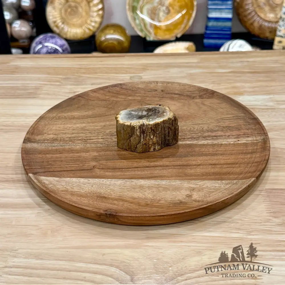 Petrified Wood Mini Stump Accent 2.7’’ - Free Standing Accent