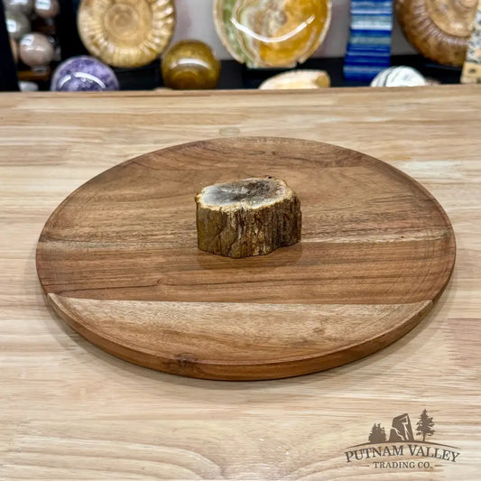 Petrified Wood Mini Stump Accent 2.7’’ - Free Standing Accent