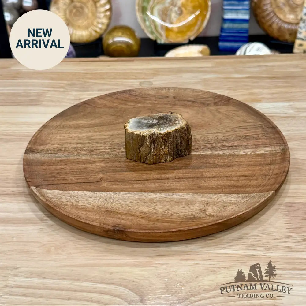 Petrified Wood Mini Stump Accent 2.7’’ - Free Standing Accent